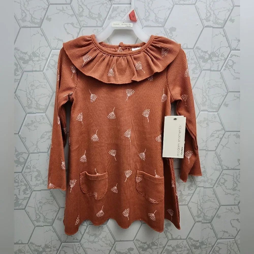 Nwt Gerber Modern Moments Ruffle Collar Dress Floral Toddler Girl